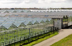 65a69f32e71de0001e7ec553 Horticulture 3282700 65a69f32e71de0001e7ec553 Horticulture 3282700