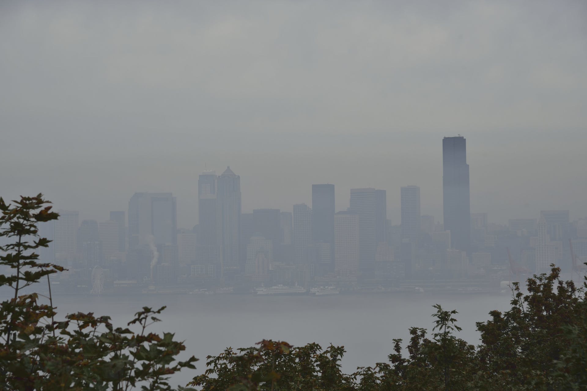 Wildfire smoke impacts city air quality, notes Box Pure Air.
