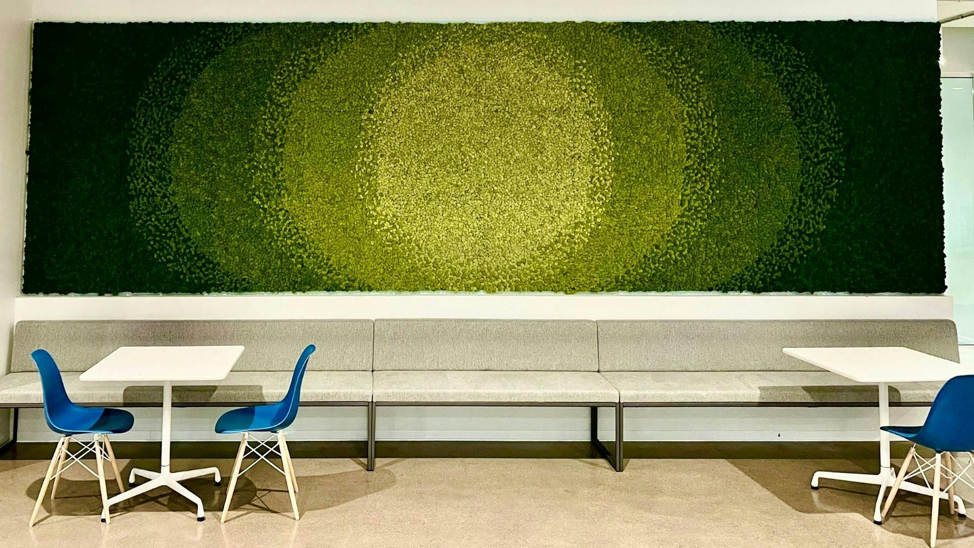 The vibrant plants in this living wall can help contribute to a sense of wellbeing.