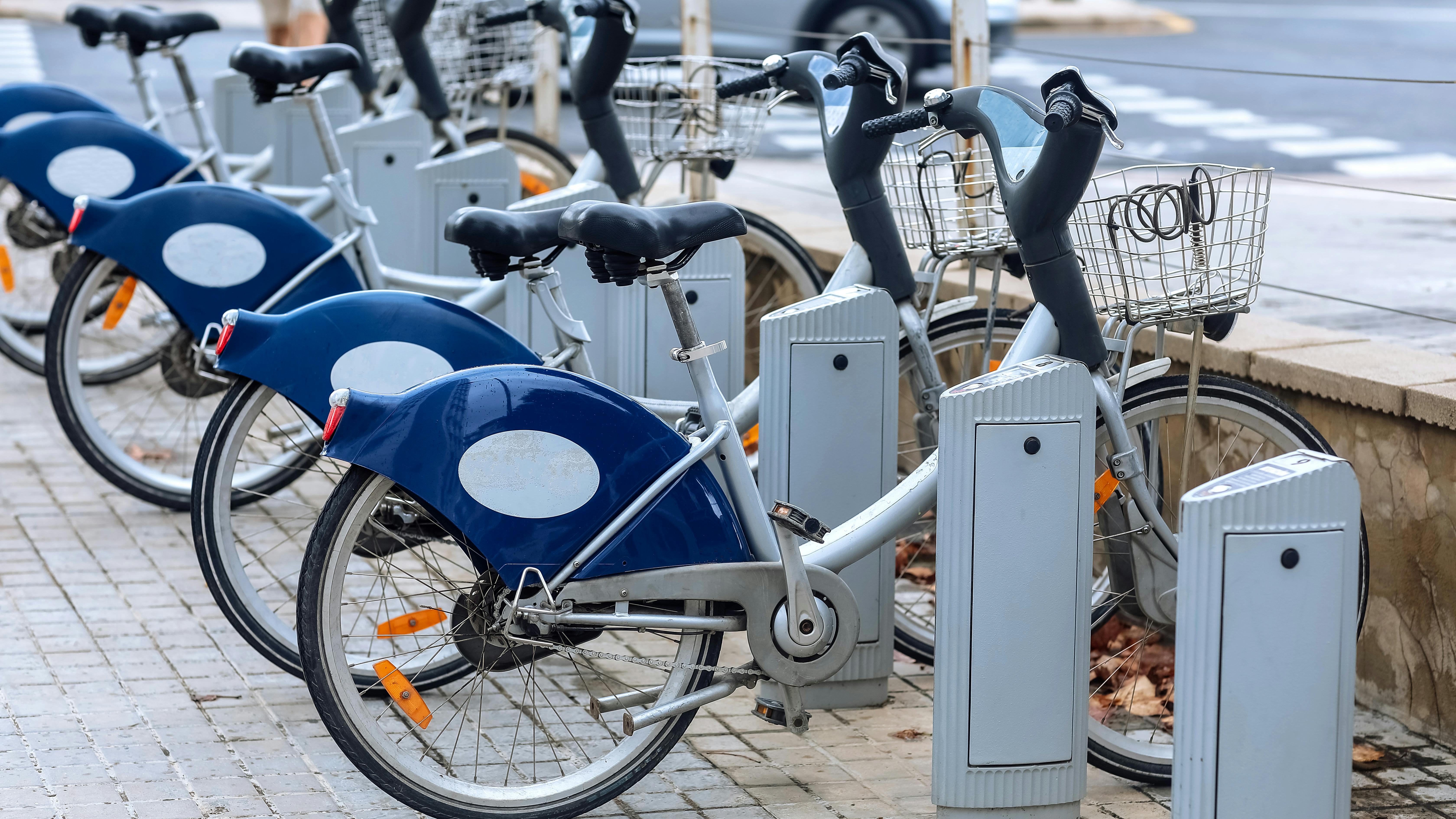 665e2f67ea5143a0808a61fc Dreamstime Xxl 256734022