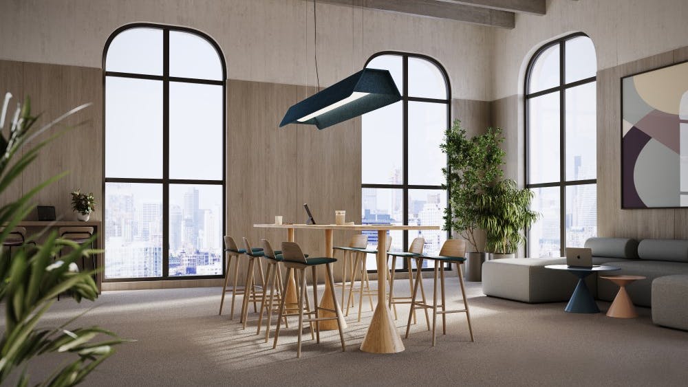 eureka__roof_acoustic_luminaire