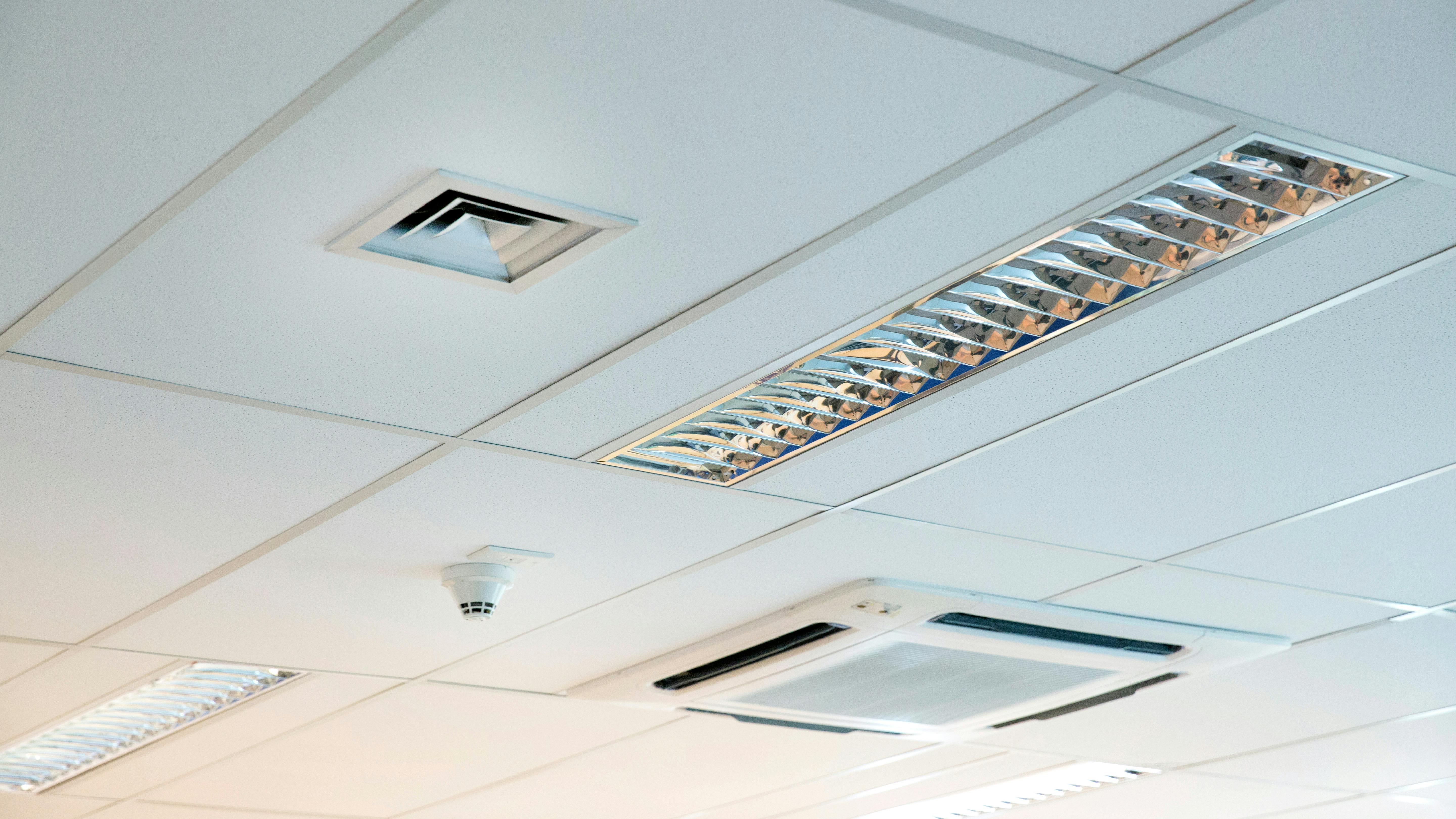 dreamstime_xxl_106052567