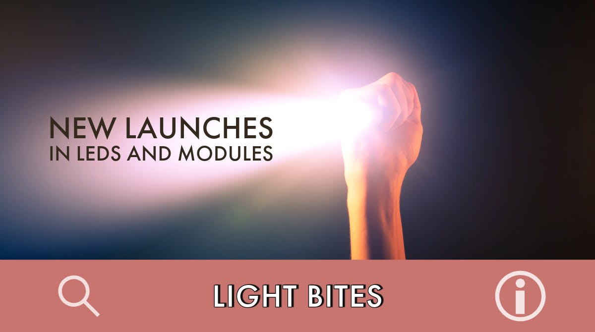 677ea44358ec89876f83a4bb 66b12fe5b1f43137adffb3bcleds News 080524