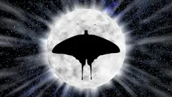 One theory for why moths fly to light is that they are attracted to the moon. We all know that hot bulbs can be fatal for them. In the bigger picture, artificial light in general is no friend of insects, say a group of British scientists who studied moth caterpillars. (Image credit: Graphic by Evan_Harrey via Pixabay; used under free license for commercial or non-commercial purposes.) One theory for why moths fly to light is that they are attracted to the moon. We all know that hot bulbs can be fatal for them. In the bigger picture, artificial light in general is no friend of insects, say a group of British scientists who studied moth caterpillars. (Image credit: Graphic by Evan_Harrey via Pixabay; used under free license for commercial or non-commercial purposes.)