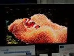 677eb28b7d398014c93c15a8 Content Dam Leds En Articles Print Volume 3 Issue 677eb28b7d398014c93c15a8 Content Dam Leds En Articles Print Volume 3 Issue