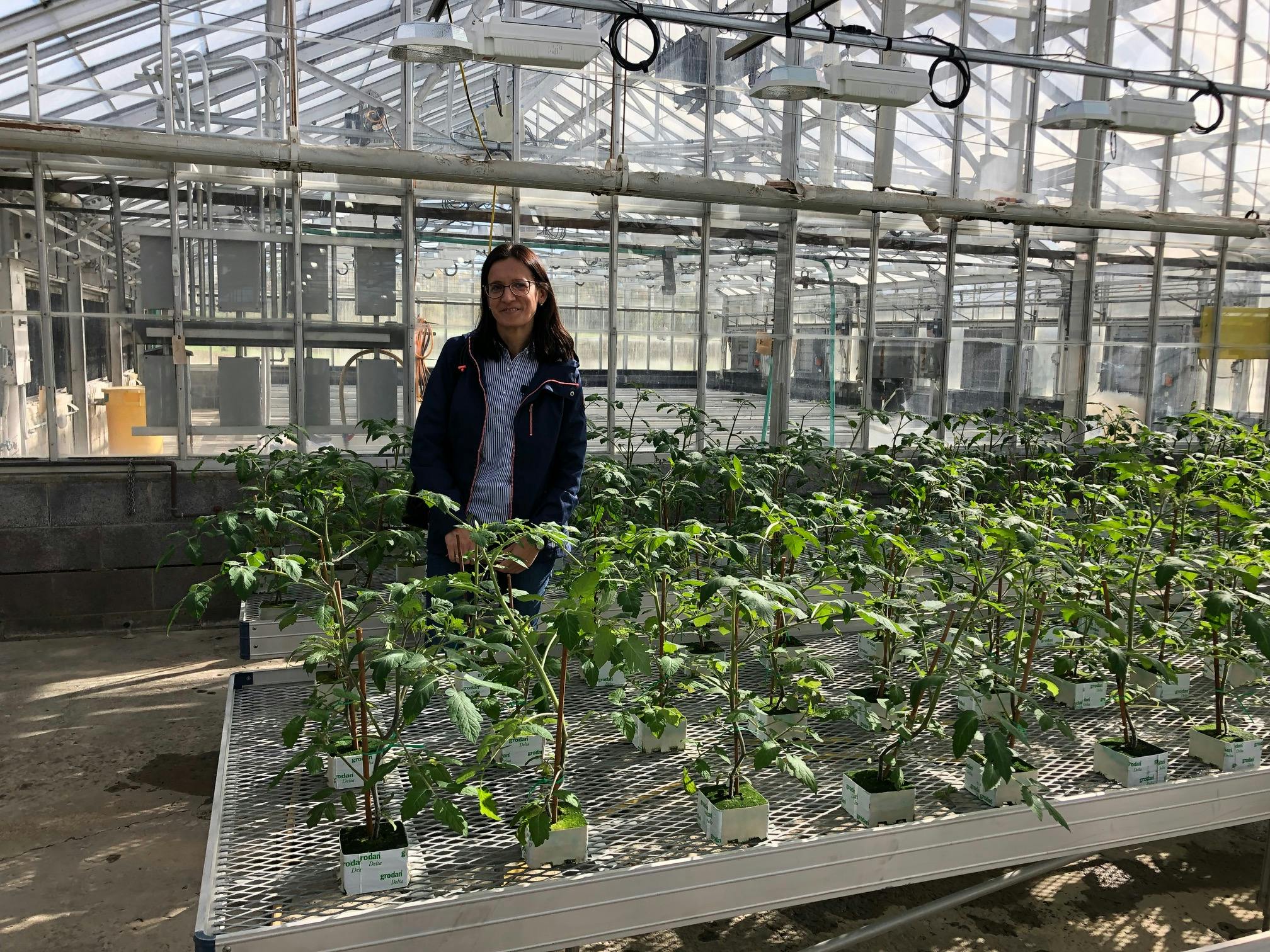 As a visiting plant scientist at LESA, Dr. Jurga Miliauskiene has delved into pulsed-light application in controlled environment agriculture (CEA). (Photo credit: Image courtesy of Lighting Enabled Systems & Applications Center at Rensselaer Polytechnic Institute.)
