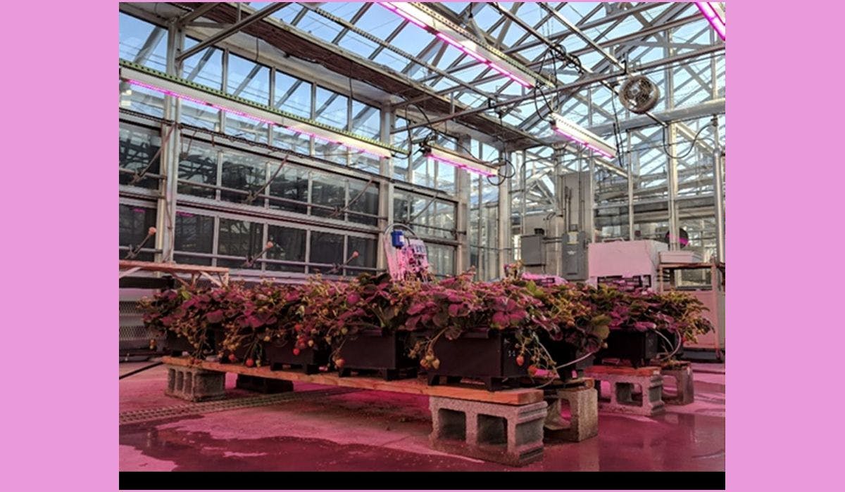 677eb34ec70eb32f02764051 Glase Blog 071219