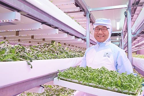 Philips Lighting details two new LED-lit vertical farms in Japan