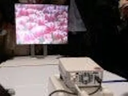 677eb60b2089a28a48957969 Content Dam Leds En Articles 2006 06 Tiny Sony Led 677eb60b2089a28a48957969 Content Dam Leds En Articles 2006 06 Tiny Sony Led