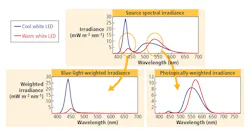 FIG. 1. Blue-light-weighted versus photopically-weighted irradiance for cool- and warm-white phosphor-converted LEDs. While the photopic integrals may be similar, the blue-light integrals differ significantly. FIG. 1. Blue-light-weighted versus photopically-weighted irradiance for cool- and warm-white phosphor-converted LEDs. While the photopic integrals may be similar, the blue-light integrals differ significantly.