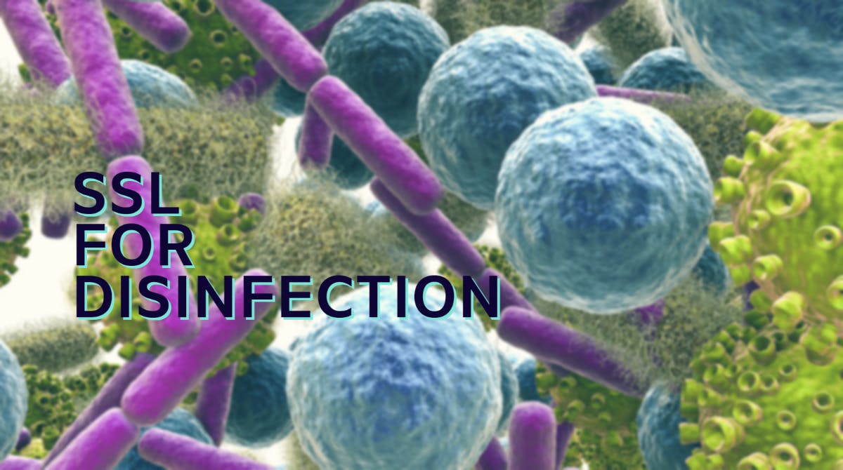 Used under standard license from Adobe Creative Cloud.