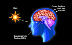 Image credit: Circadian Rhythm illustration from the National Institutes of Health, US Department of Health and Human Services. As a work of the US federal government, the image is in the public domain. (Source: Circadian Rhythms Fact Sheet; https://bit.ly/30VNTLo.) Image credit: Circadian Rhythm illustration from the National Institutes of Health, US Department of Health and Human Services. As a work of the US federal government, the image is in the public domain. (Source: Circadian Rhythms Fact Sheet; https://bit.ly/30VNTLo.)