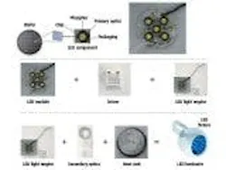 677ebaa2c10da65b648129ef Content Dam Leds En Articles Print Volume 6 Issue 677ebaa2c10da65b648129ef Content Dam Leds En Articles Print Volume 6 Issue