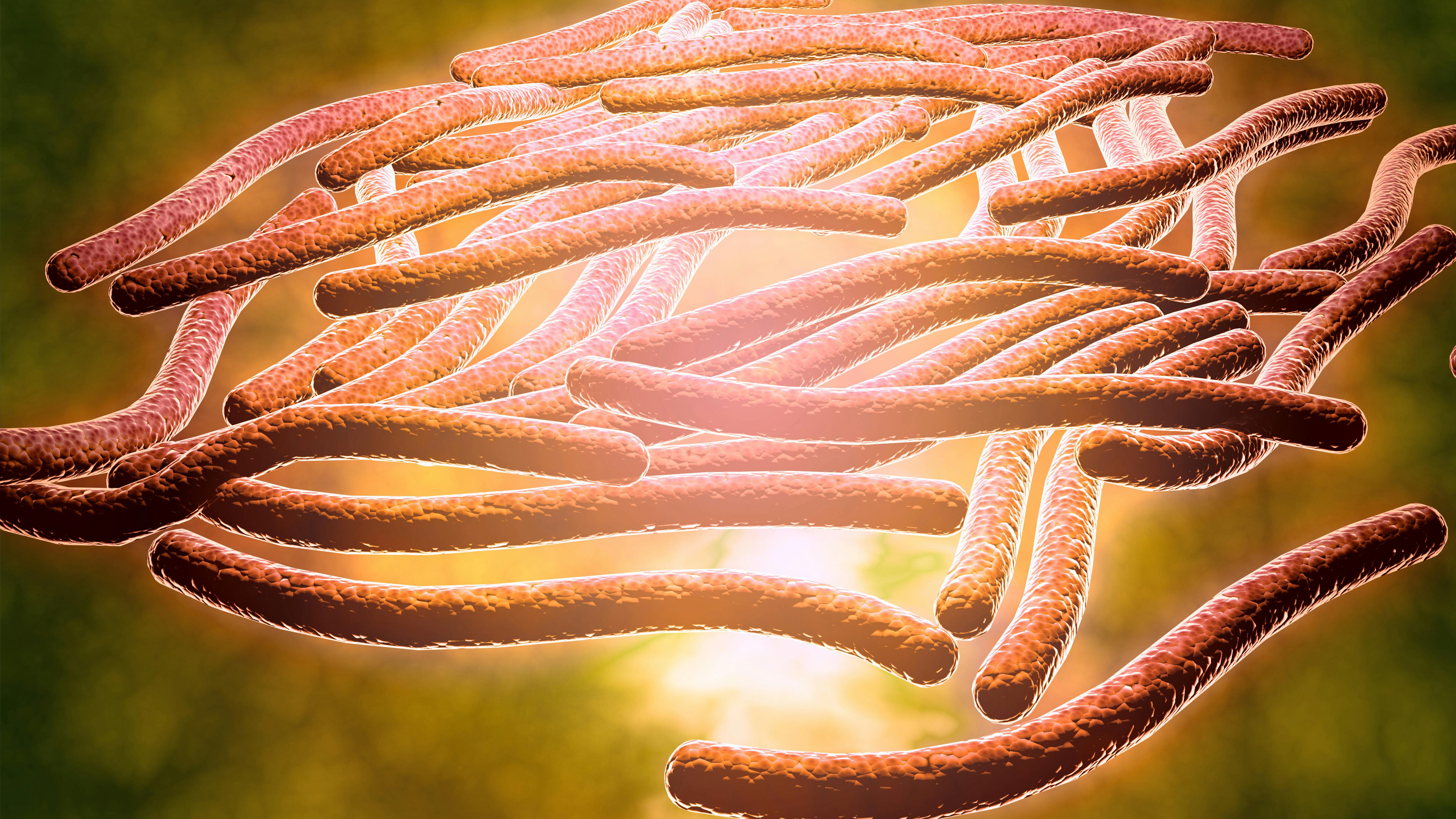 Legionella pneumophila is the bacterium that causes Legionnaires disease.