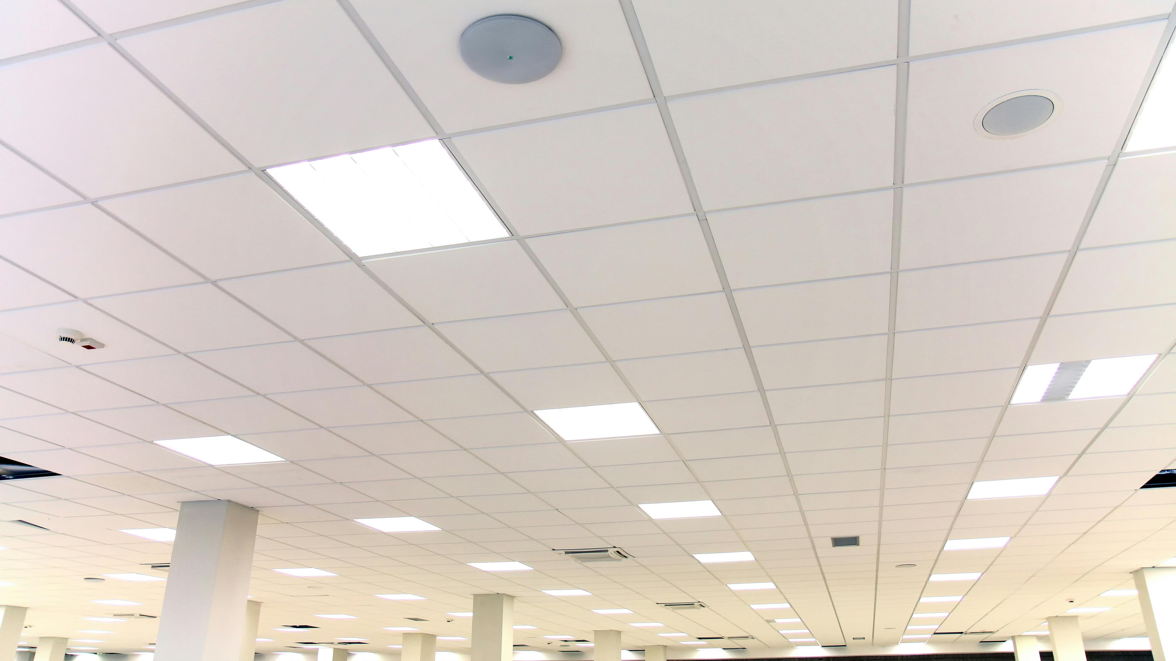 68713f601ba8e37fdda3328f Dreamstime Xxl 136836480