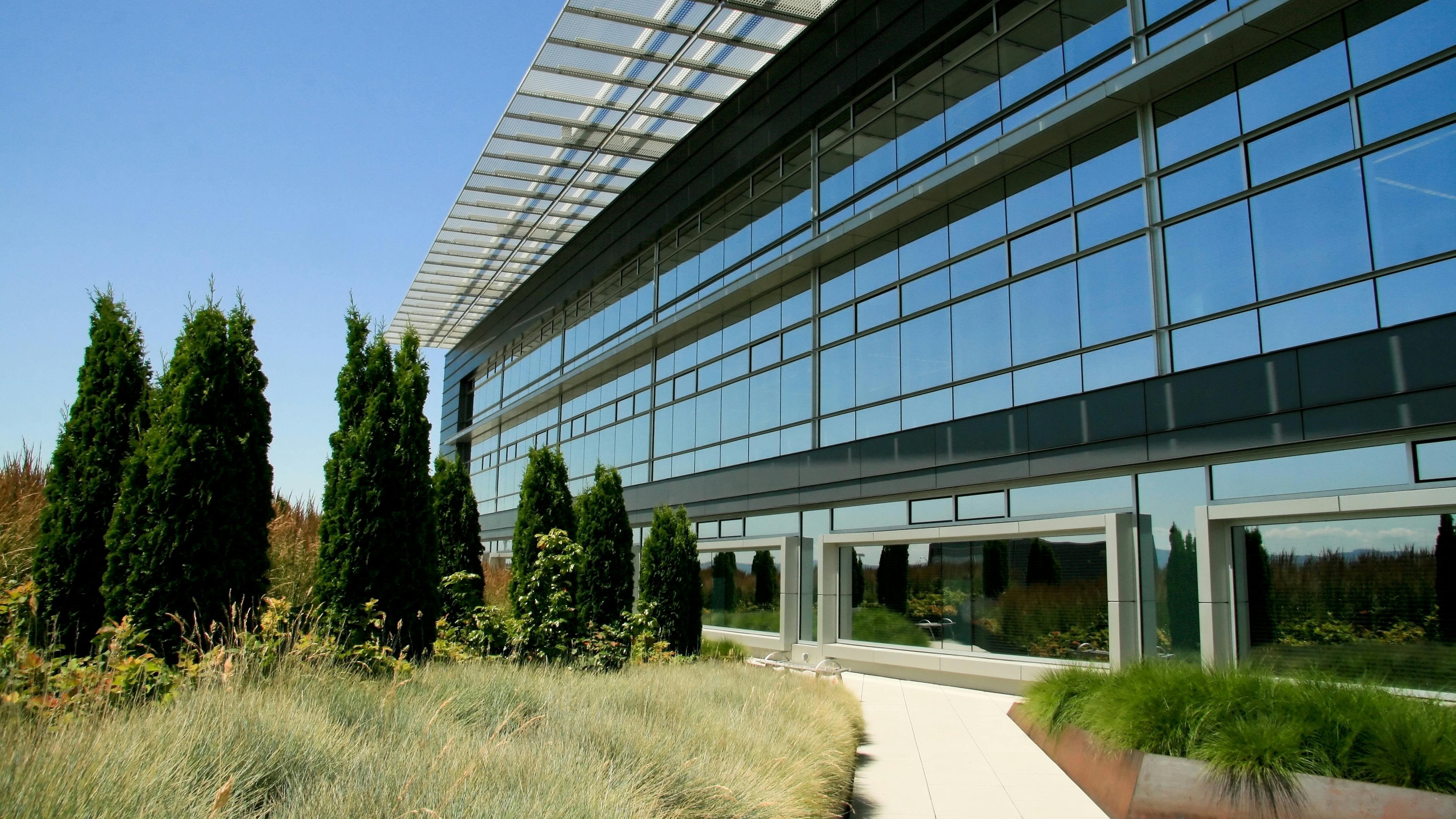 dreamstime_xxl_25699540