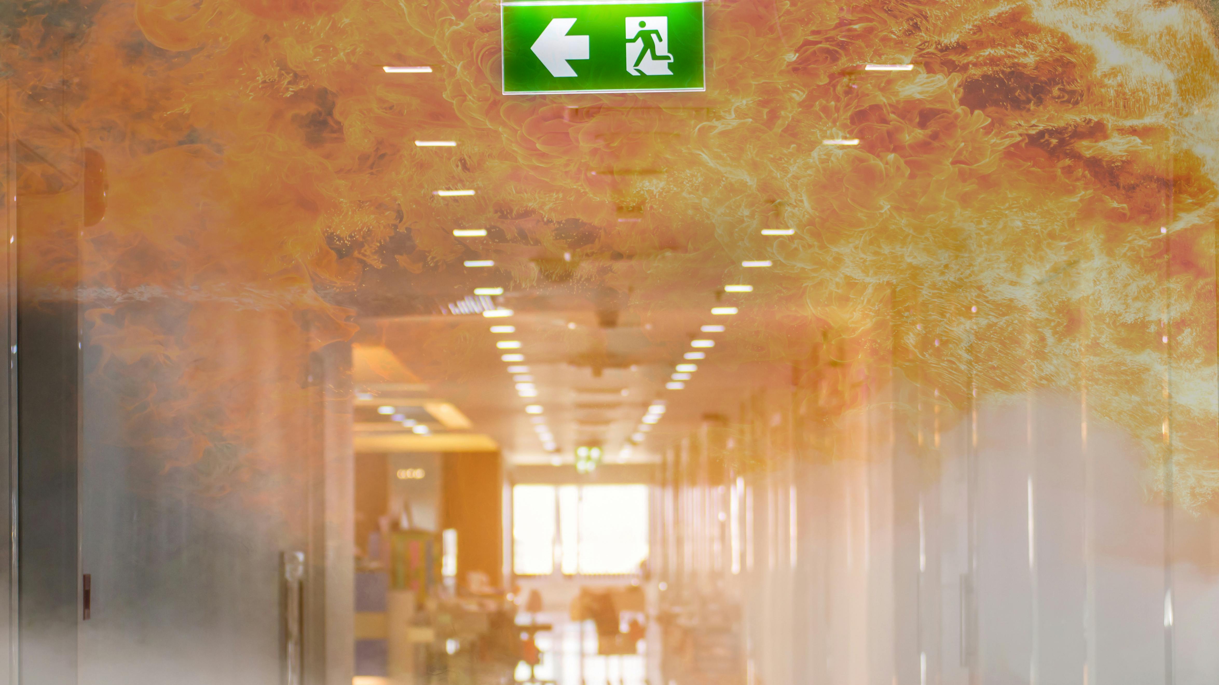 dreamstime_xxl_118957663