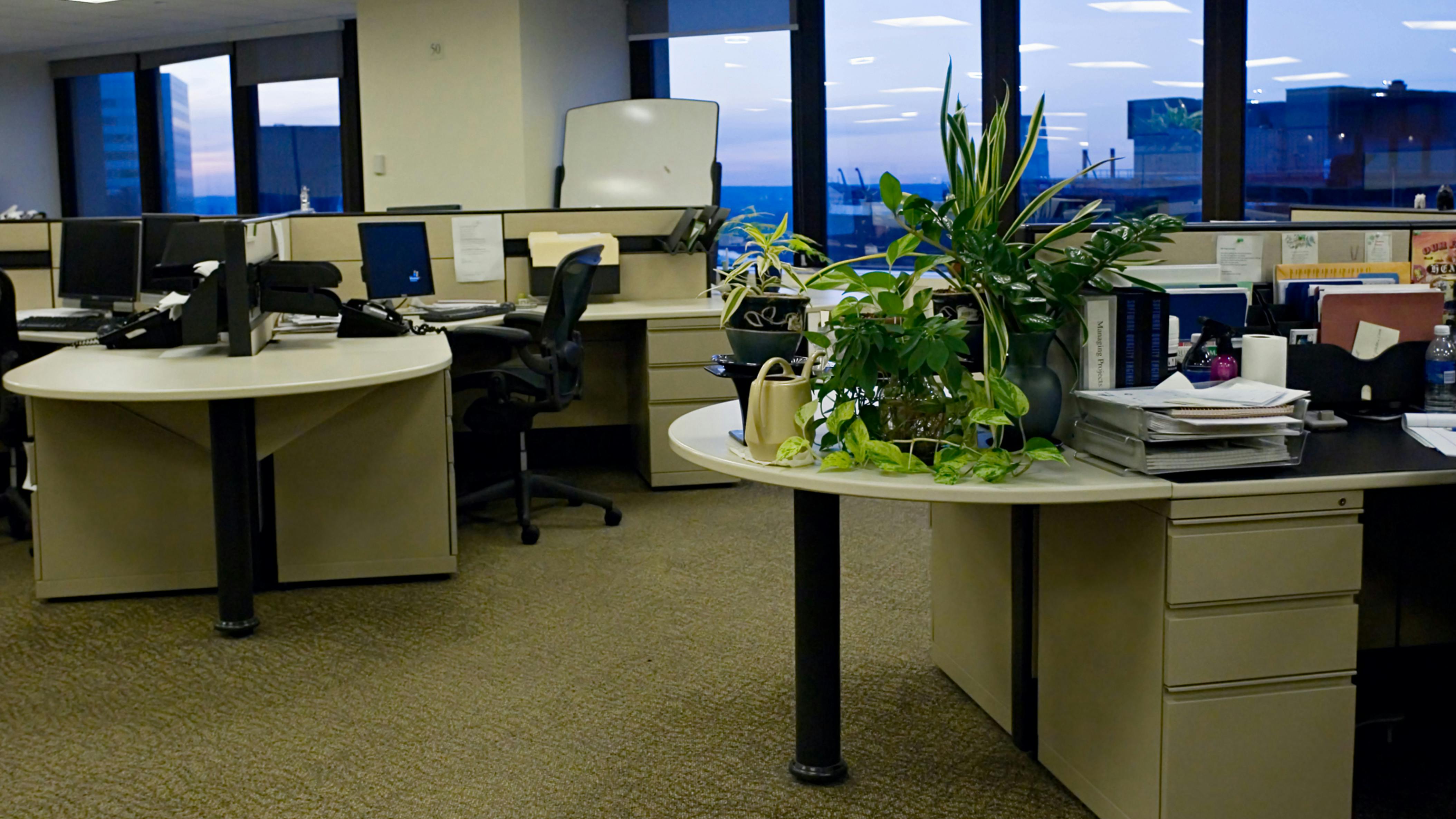 dreamstime_xxl_3821947