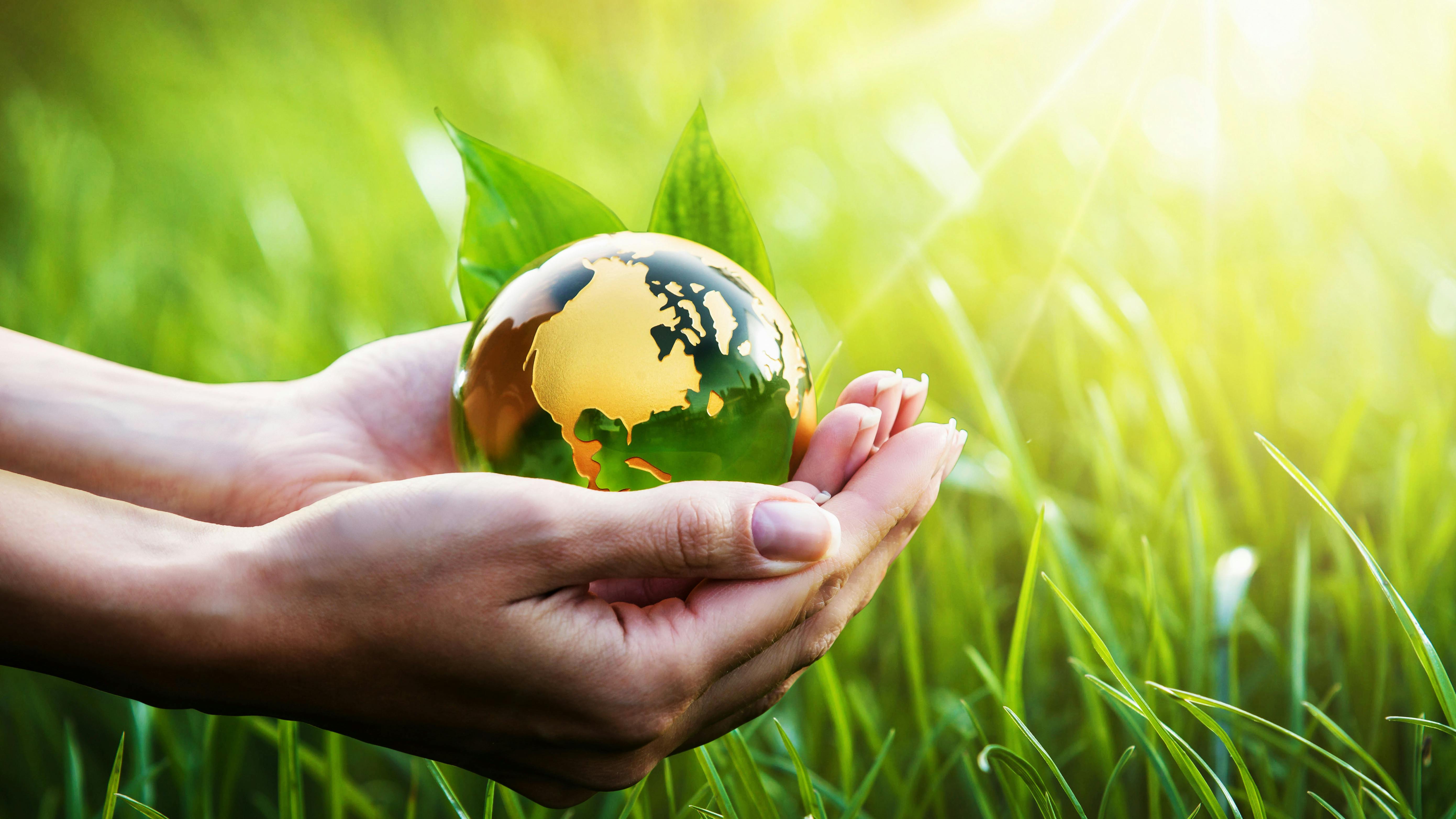 6908cfeafda6c761cd9c47b7 Dreamstime Xxl 116939326