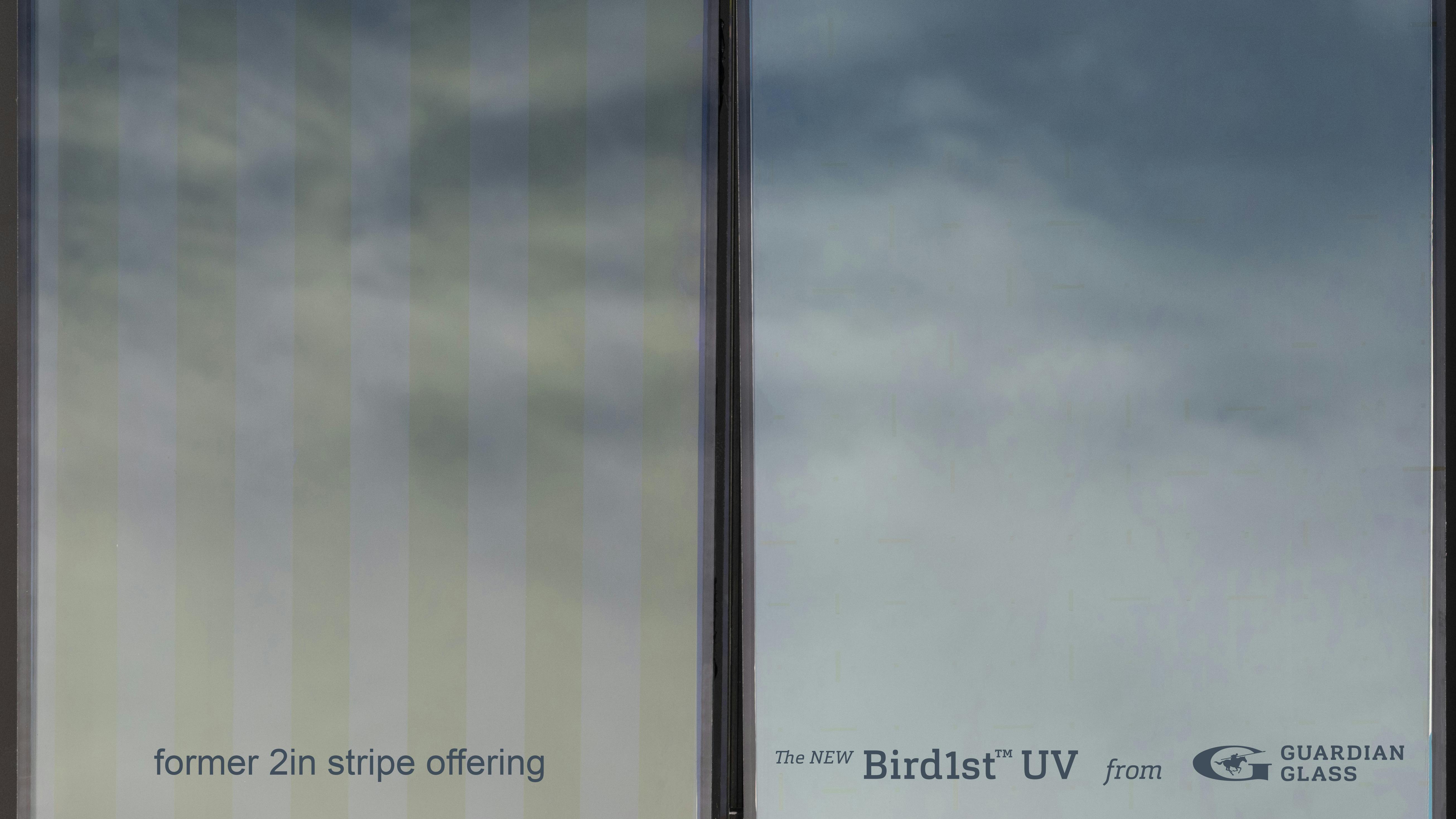 696aa183e78465b9819239a2 Guardian Glass Bird1st Uv Glass