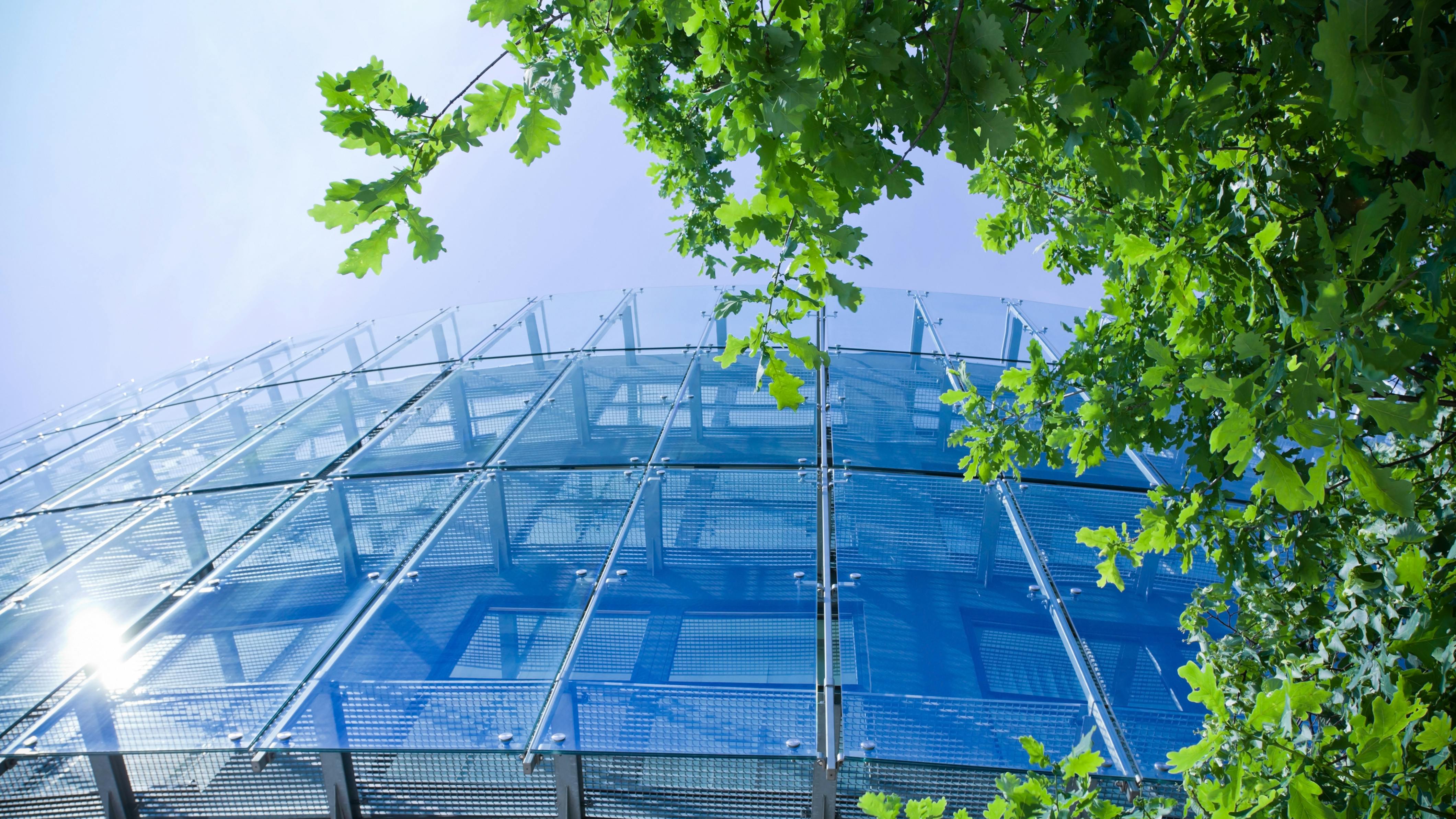 69810beb82c48ae4b7c8a971 Dreamstime Xxl 19666650