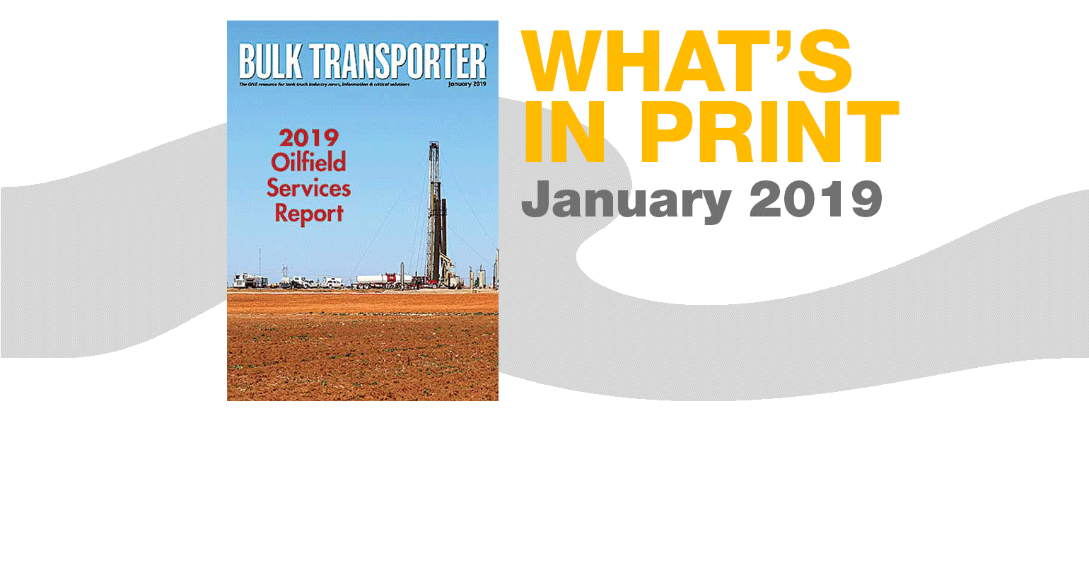 Bulk Transporter January 2019 cover