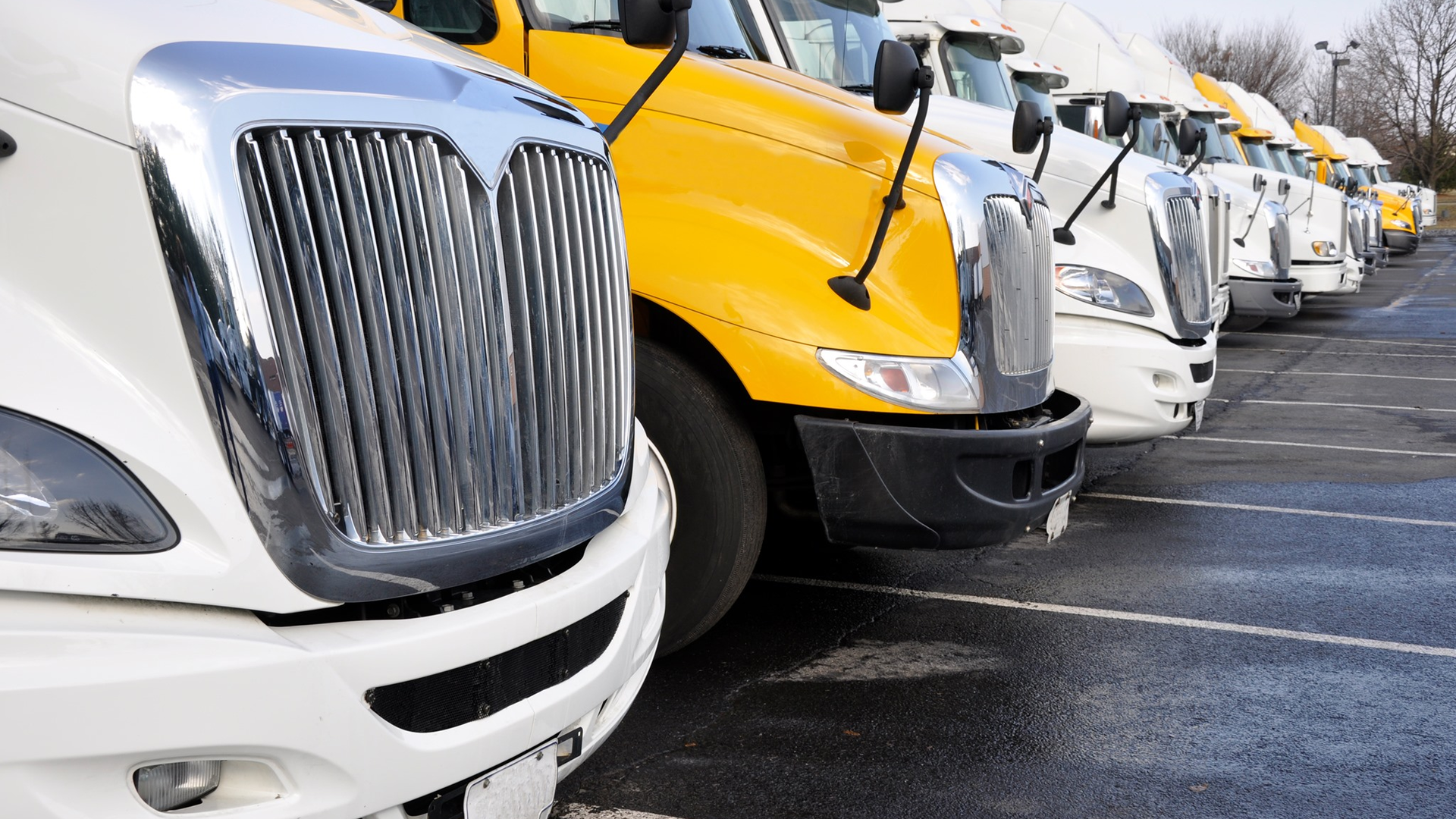 103257323 164330701795461 4566995550562580880 N 618975d62969f