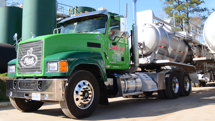 Firebird Bulk Carriers Banner