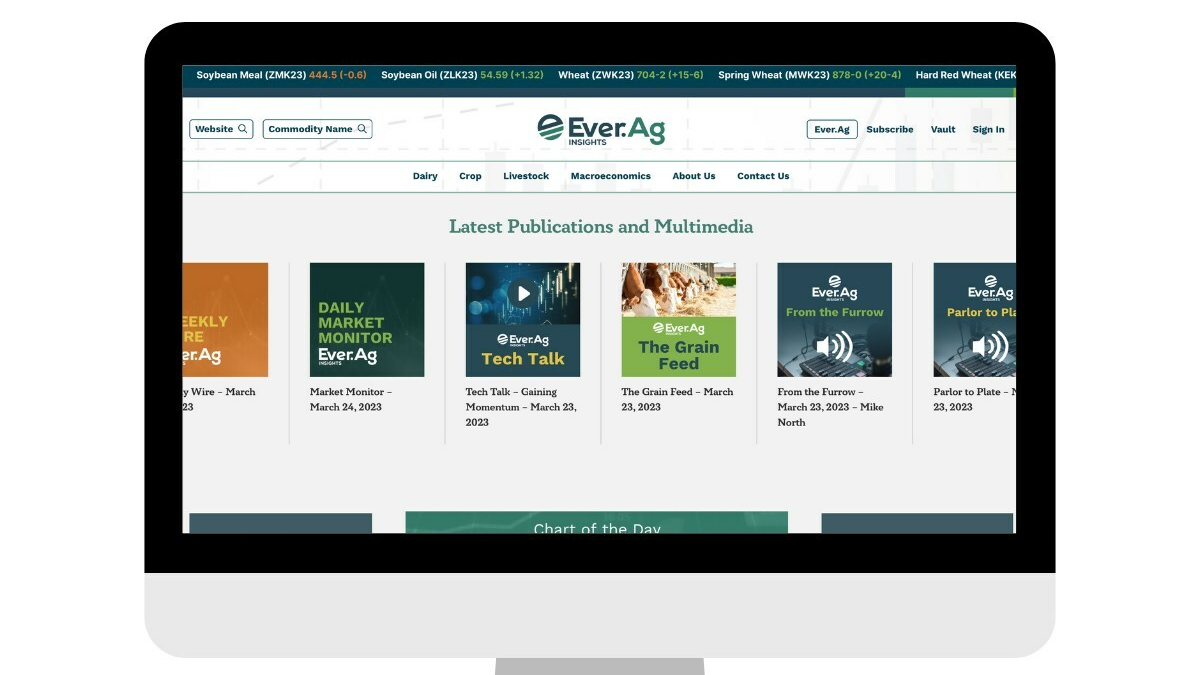 Insights Portal Desktop Preview