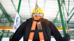 Adobe Stock 212615685 653a62903d8a4 Adobe Stock 212615685 653a62903d8a4