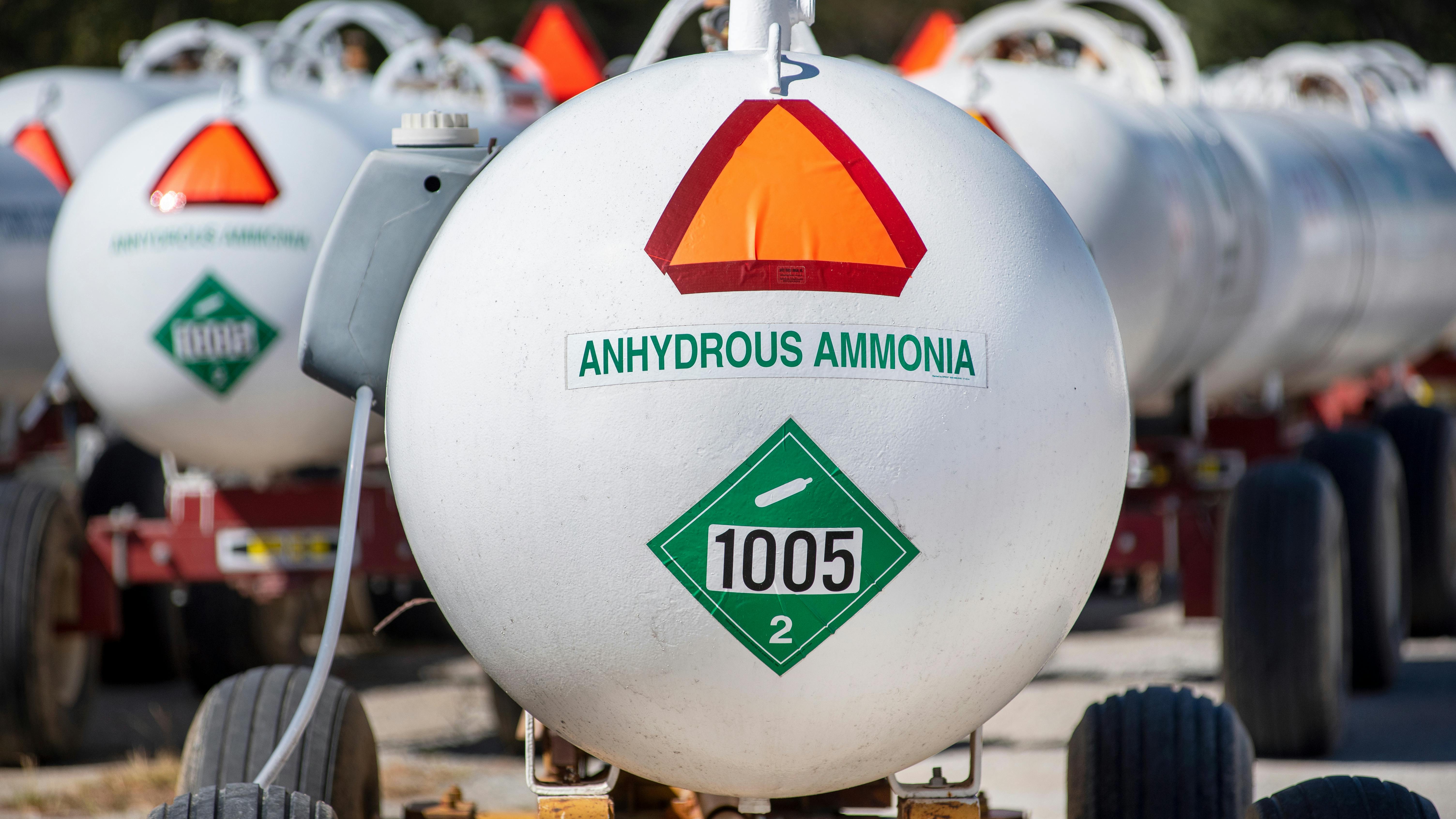 65d8b9999bf278001fe79707 Adobestock 421828189 Editorial Use Only