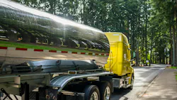 66d0b780ec96672ab5d98e96 Adobestock 385444468 66d0b780ec96672ab5d98e96 Adobestock 385444468