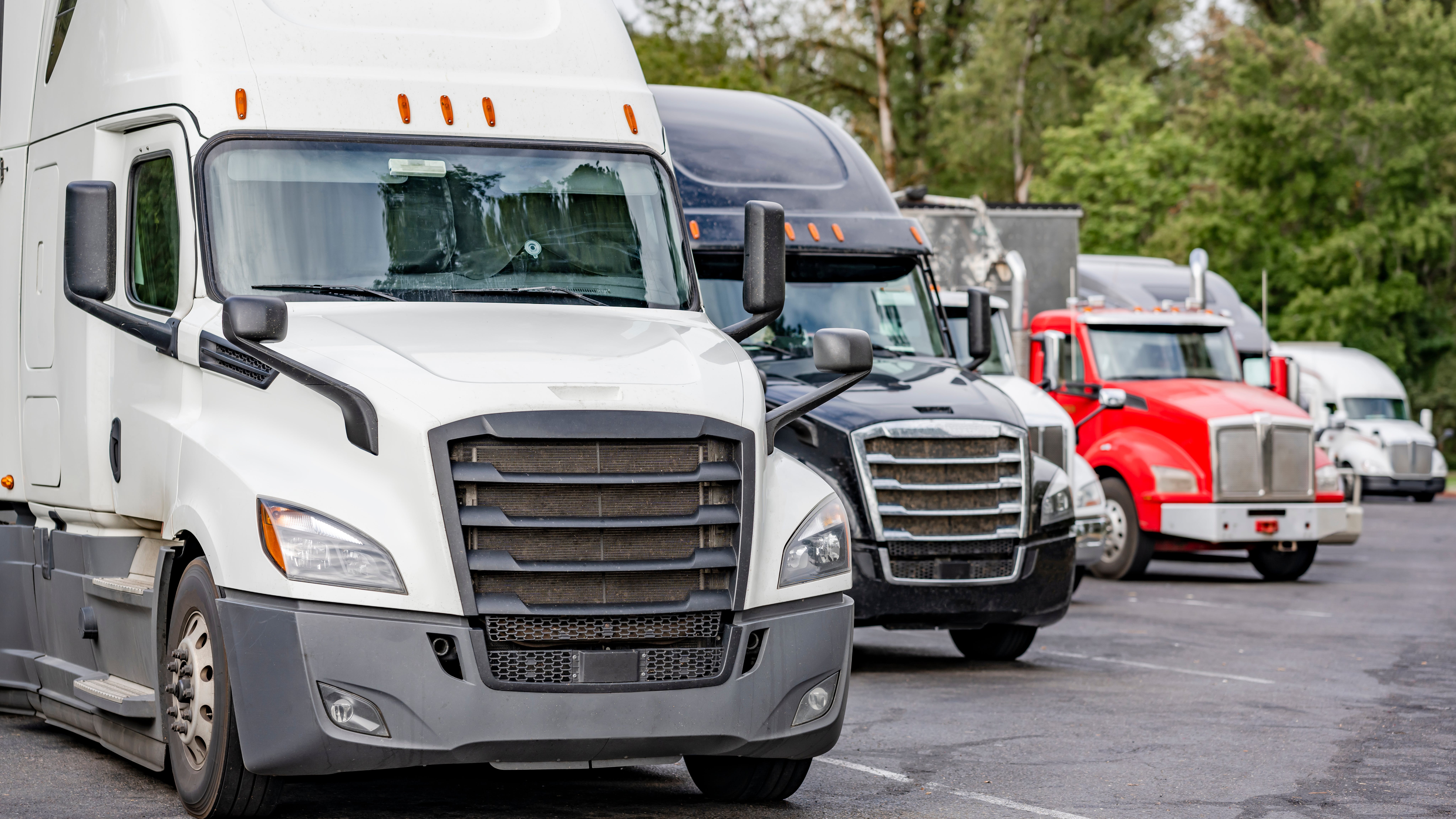 6756fdc03b01521d63c328bc Adobestock 679418635