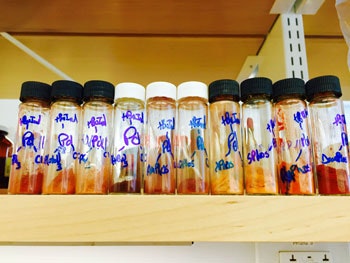 1660252443045 Catalystsfig1