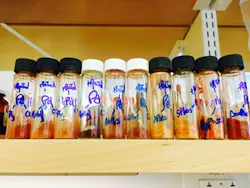 catalysts-fig1 catalysts-fig1