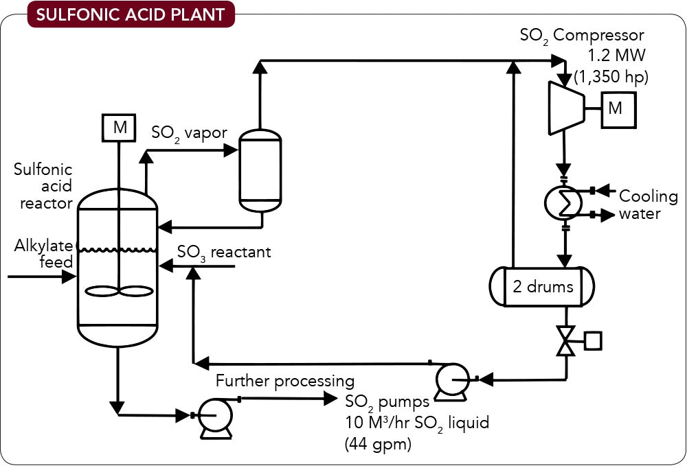 1660252473890 Sulfonicacidplantfig1lg