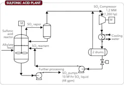 1660252473890 Sulfonicacidplantfig1lg 1660252473890 Sulfonicacidplantfig1lg
