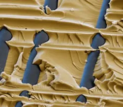 1660253863854 1307tsbasfrevealsrdstrategy 1660253863854 1307tsbasfrevealsrdstrategy