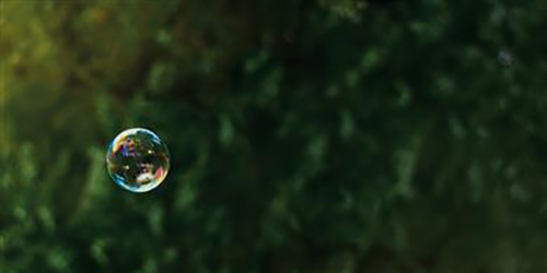 1660263856092 Perspr148a41511117