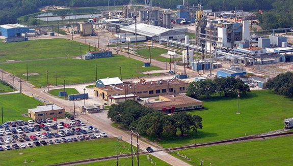 1660317475816 Orangeplantphoto