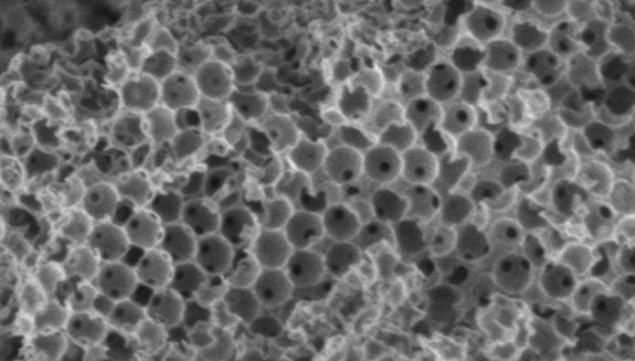 1660318213448 Heroozbiocatalystspongecopy