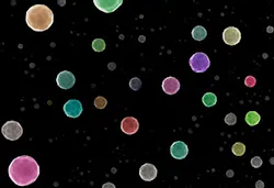 1660318580153 Fig1mirkincoloredversionofnanoparticlescopy 1660318580153 Fig1mirkincoloredversionofnanoparticlescopy