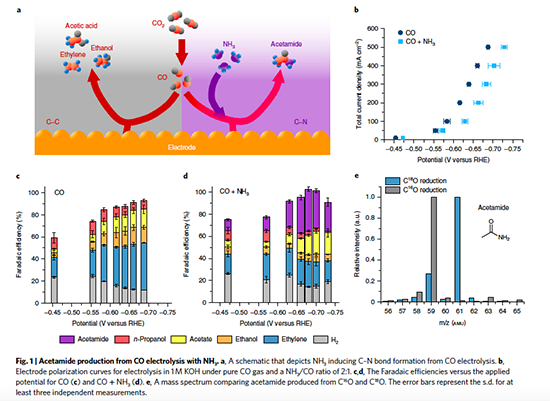 1660318615550 Fig1carbonnitrogenbondssmall