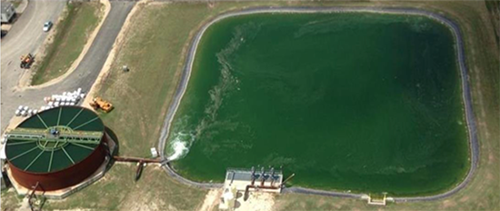 1660318647233 Fig1fouledpond