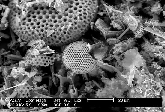 1660318710284 Figure1