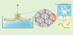 figure-1-amine-and-aldehyde-molecules-paired-in-hexagonal-structures figure-1-amine-and-aldehyde-molecules-paired-in-hexagonal-structures