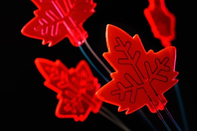 1660319257773 Leafinspiredmicrophotoreactorsfig1