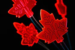 1660319257773 Leafinspiredmicrophotoreactorsfig1 1660319257773 Leafinspiredmicrophotoreactorsfig1