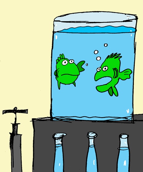 1660320097036 Cartoon 1101