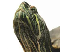 1204_salary_ts 1204_salary_ts